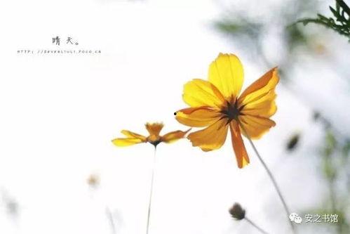 一切安好的图片